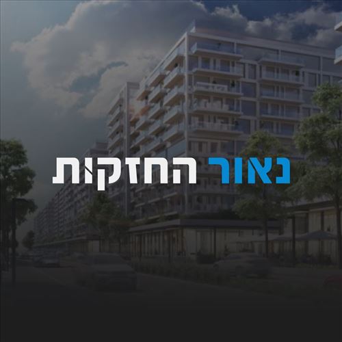 נאור החזקות